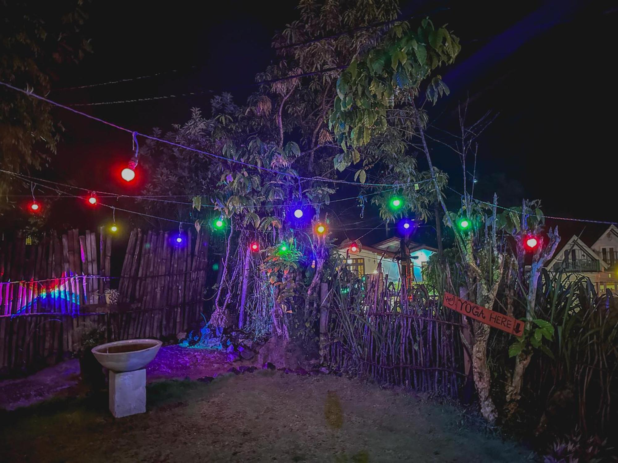 Mad Monkey Hostel And Lounge エッラ エクステリア 写真